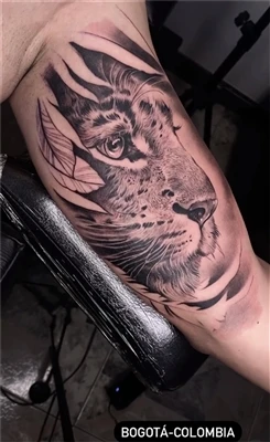 Wat betekent Half Tiger Tattoo?